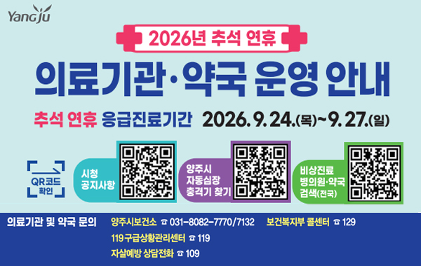 2026년 추석 연휴 응급진료체계 운영