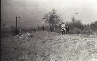 매초성 촬영01 의 사진