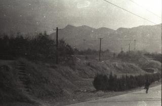 매초성 촬영01 의 사진