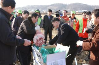 독수리먹이주기01 의 사진