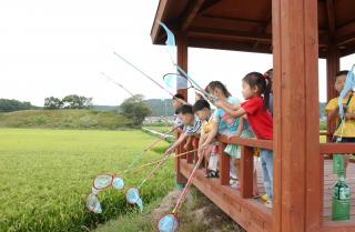 봉암 어린이집 메뚜기잡기01 의 사진