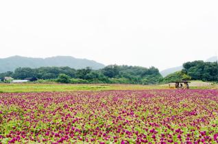 문화재, 관광지 의 사진