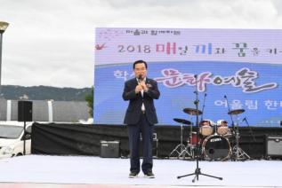 천만송이 천일홍 축제 의 사진