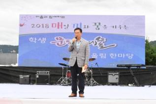 천만송이 천일홍 축제 의 사진