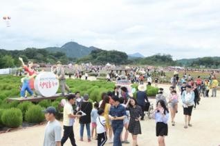 천만송이 천일홍 축제 의 사진