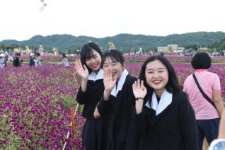 천만송이 천일홍 축제 의 사진