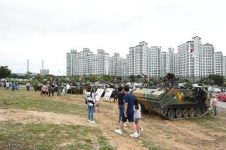 천만송이 천일홍 축제 의 사진