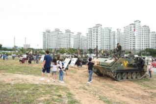 천만송이 천일홍 축제 의 사진