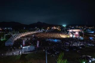 천만송이 천일홍 축제 의 사진