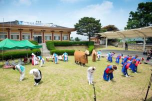 제38회 양주 소놀이굿 정기공연 의 사진