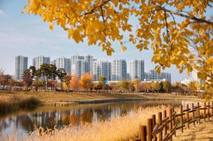 가을 옥정호수공원 사진