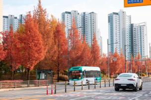 옥정 LH8단지 가을 사진