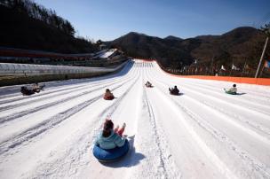 장흥자연휴양림 눈꽃설매장 사진