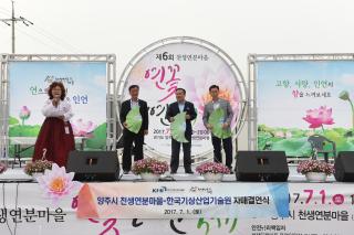  천생연분마을 연꽃축제 사진