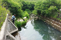 유충구제 소독실시 장면