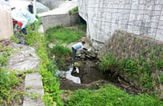 유충구제 소독실시 장면