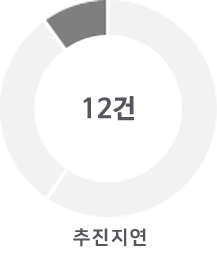 추진지연 : 12건