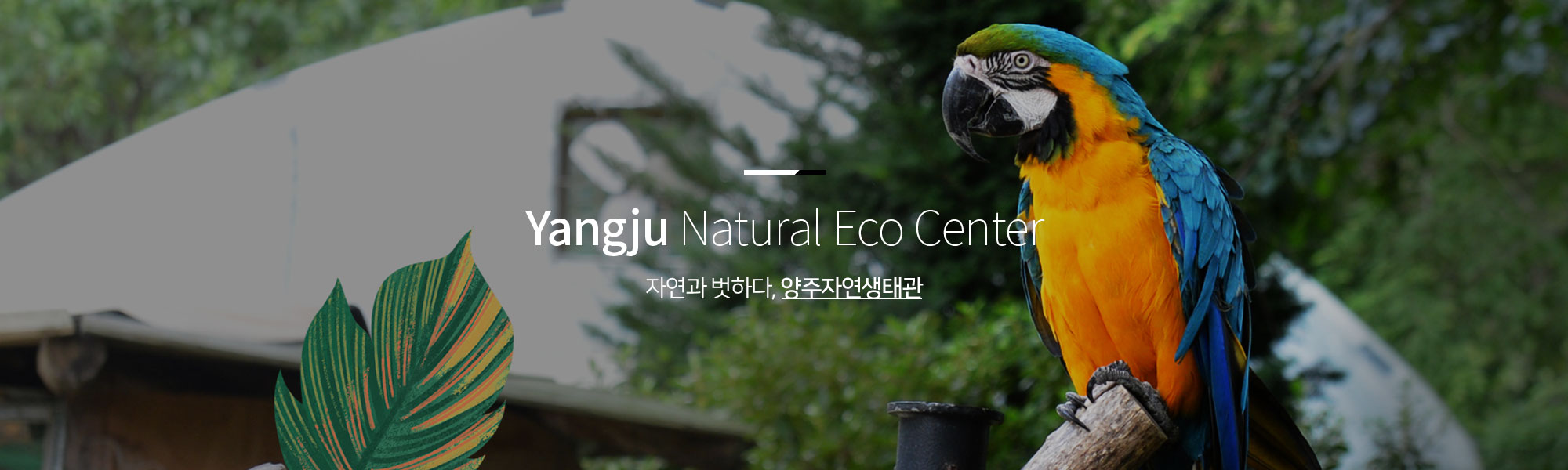 Yangju Natural Eco Center 자연과 벗하다, 양주자연생태관