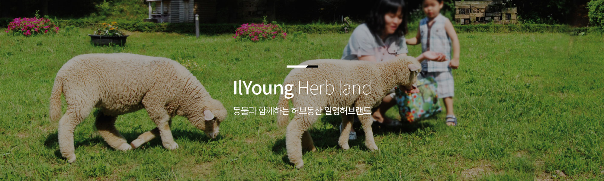 IlYoung Herb land 동물과 함께하는 허브동산 일영허브랜드